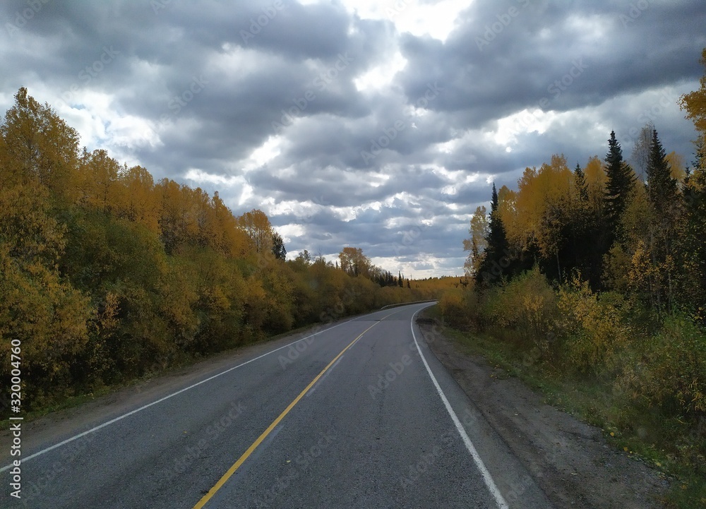 Fototapeta premium road in autumn