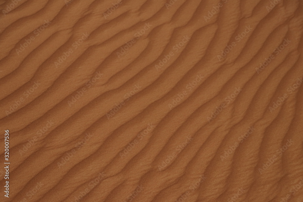 ripples in the sand ripples in the sand
