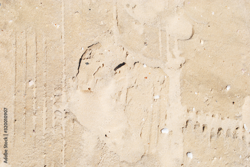 Golden Sand on the beach as background. Sand Texture. Golden sand