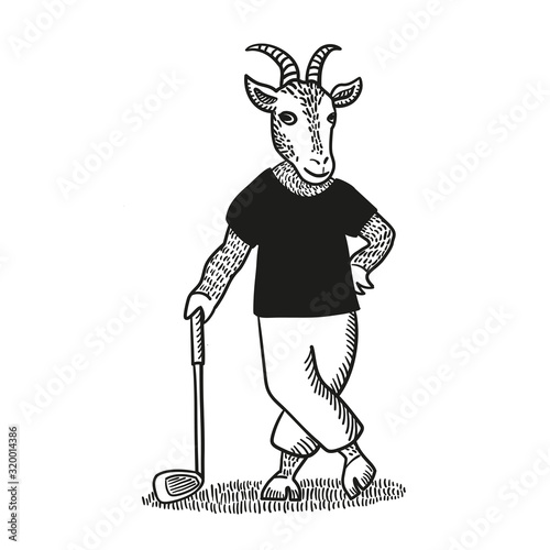 Vector graphic illustration of a dressed smiling goat with a golf club standing on lawn