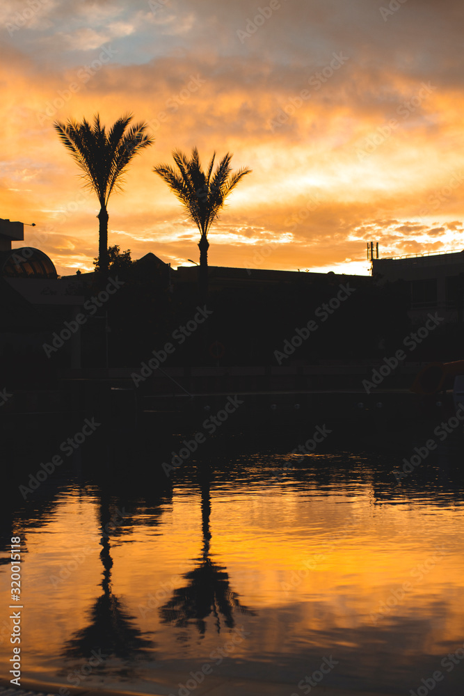 Obraz premium Dramatic Sunset with silhuettes palm and reflection in swimming pool