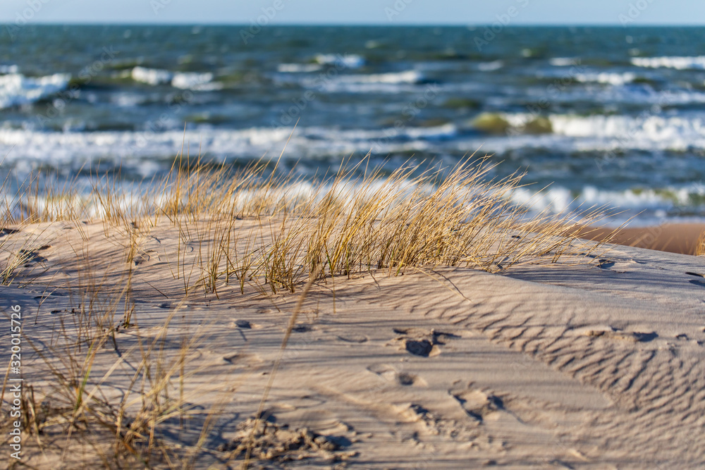 Sandy dunes and sea view Sandy dunes and sea view