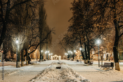 park in winter © Dmitry
