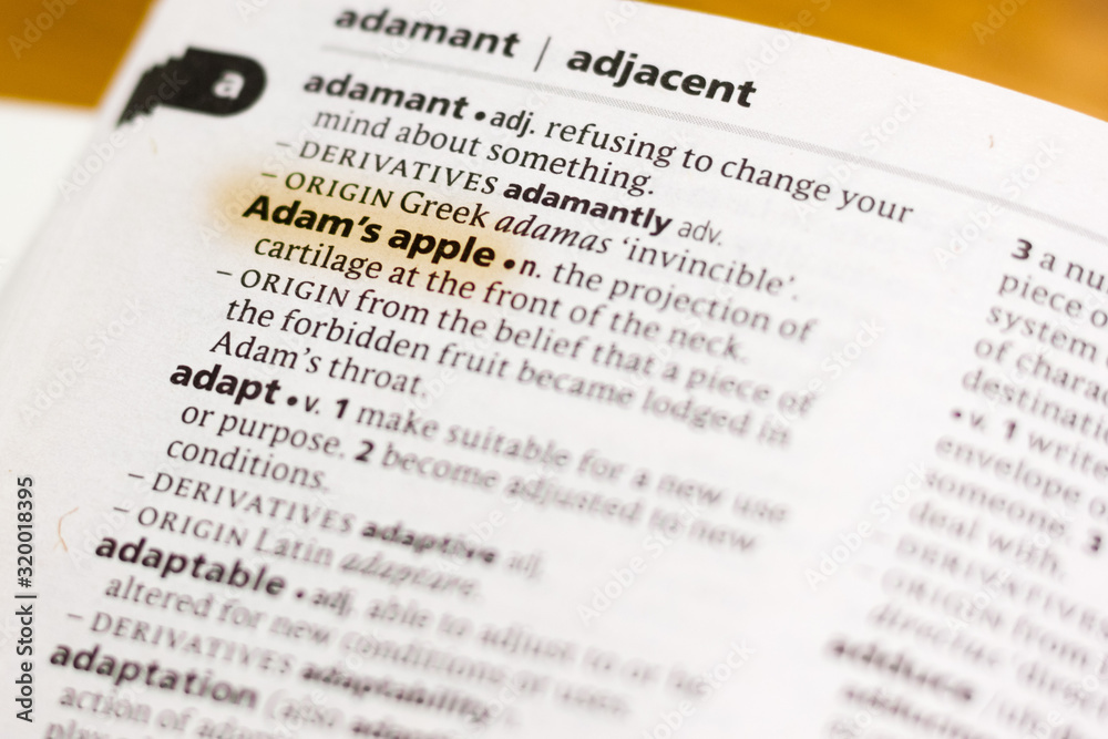 Fototapeta premium The word or phrase Adam's Apple in a dictionary.