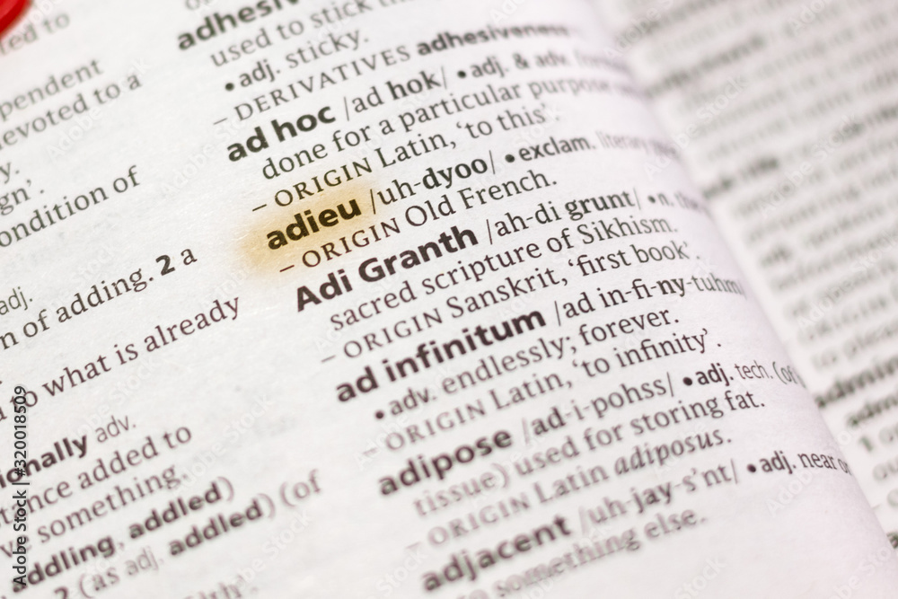The word or phrase Adieu in a dictionary. The word or phrase Adieu in a dictionary.