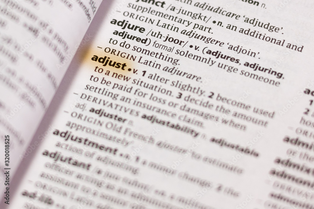 The word or phrase Adjust in a dictionary. The word or phrase Adjust in a dictionary.