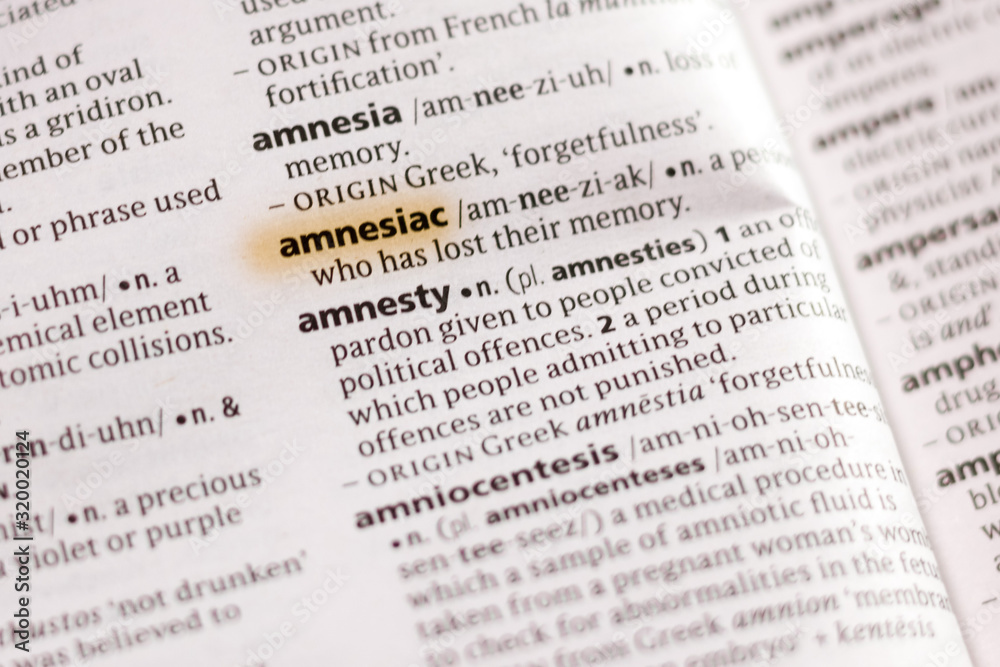The word or phrase Amnesiac in a dictionary.