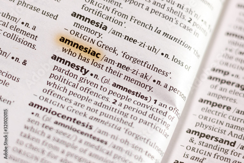 The word or phrase Amnesiac in a dictionary.