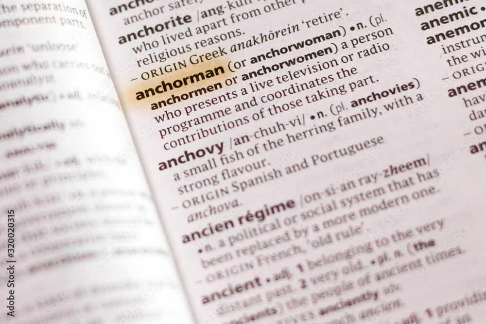 The word or phrase Anchorman in a dictionary.