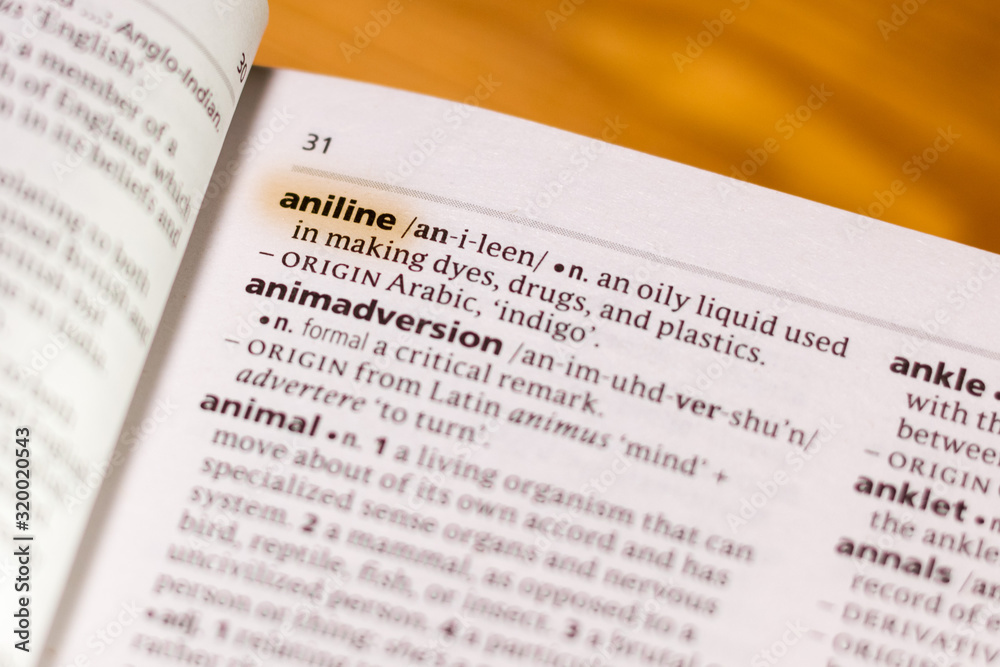 Fototapeta premium The word or phrase Anline in a dictionary.