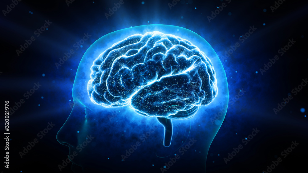 Brain head human mental idea mind 3D illustration background - obrazy, fototapety, plakaty 