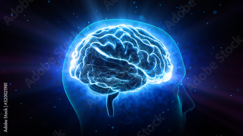Canvas-taulu Brain head human mental idea mind 3D illustration background