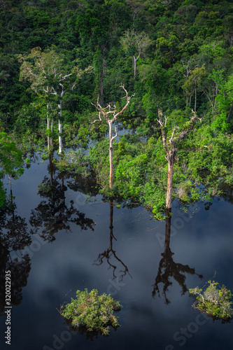 Aerial view of the Amazon rainforest