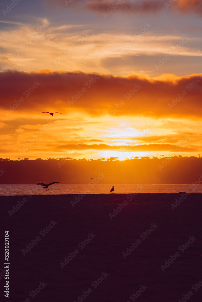 Beach sunset, seabirds and lovers