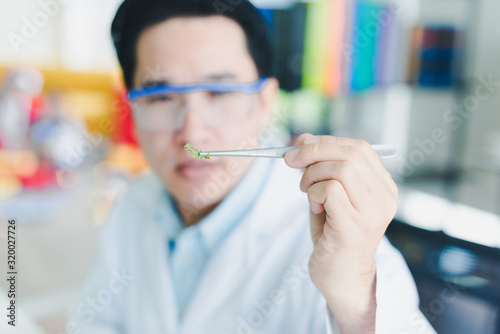 Asian scientists are preparing plant-based materials for testing and analysis in the laboratory. Scientists clear glasses and white shirts. Science and Chemistry Concept