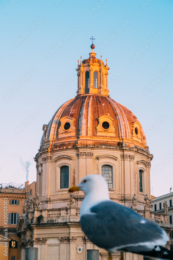Rome, Italy - Jan 2, 2020:  Santa Maria di Loreto church and a Gull, Rome, Italy.