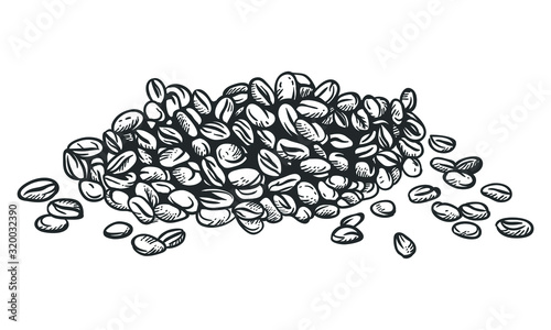 hand drawn isolated coffee beans