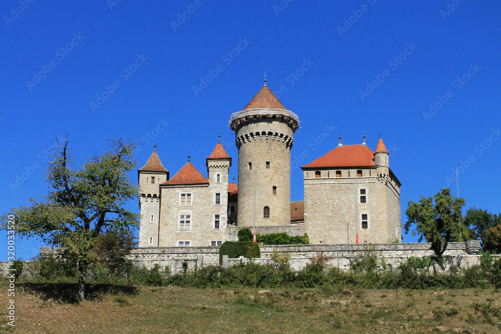 View to medieval castle Chateau de Montrottier, Rhone-Alpes, Savoie, France, popular tourist destination, travel theme, horizontal orientation