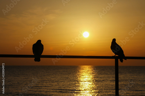 two doves greeted the dawn at sea,a couple of pigeons admiring the dawn ,beautiful dawn at sea and the couple of pigeons,beautiful romantic love sea,love and pigeons,romantic morning at sunrise ,selec