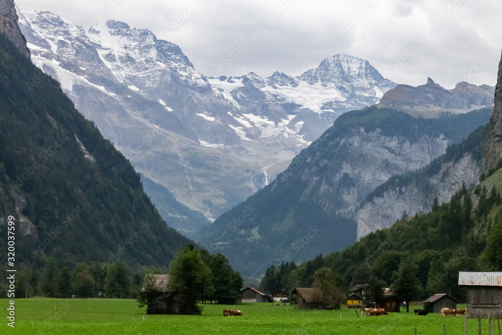 View of snow-capped mountains and green field in the Lauterbrunnen village, Switzerland