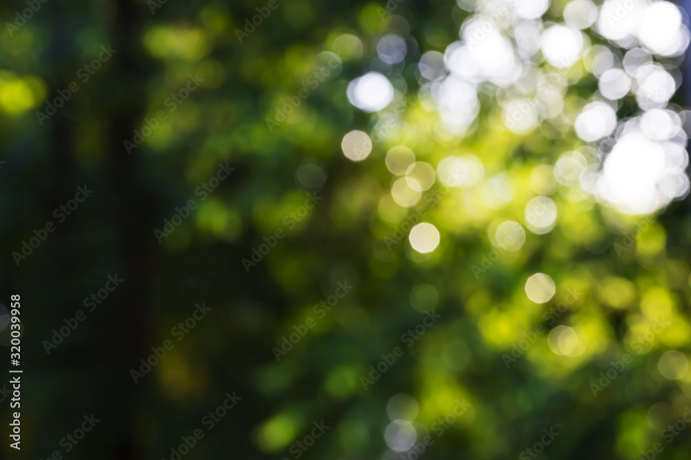 Blurred fresh sparkling green nature bokeh abstract background Blurred fresh sparkling green nature bokeh abstract background