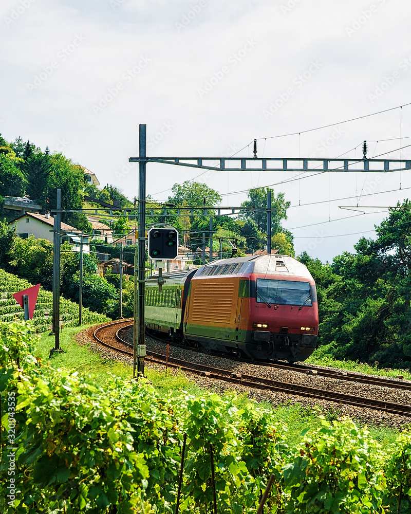 Naklejka premium Running train and the railroad in Lavaux Vineyard Terrace hiking trail, Lavaux-Oron district, Switzerland