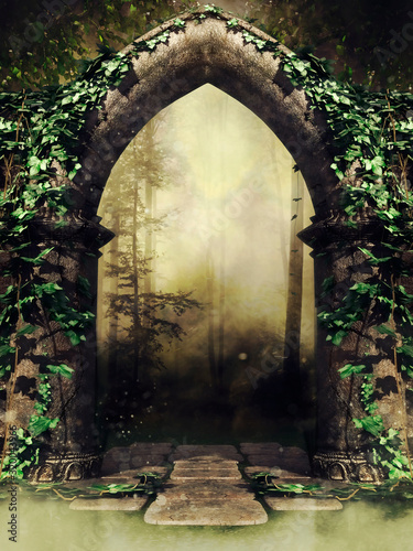 Fototapeta Old gothic stone gate with ivy leading to a dark forest in a foggy landscape
