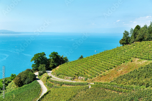 Lavaux Vineyard Terraces hiking route, Lake Geneva and Swiss mountains, Lavaux-Oron district in Switzerland