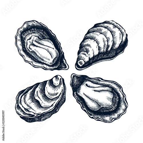 Cooked oysters illustrations. Shellfish and seafood restaurant design element. Hand drawn oyster shells sketch isolated on white background. For menu, recipes, logos, flyer or invitation.