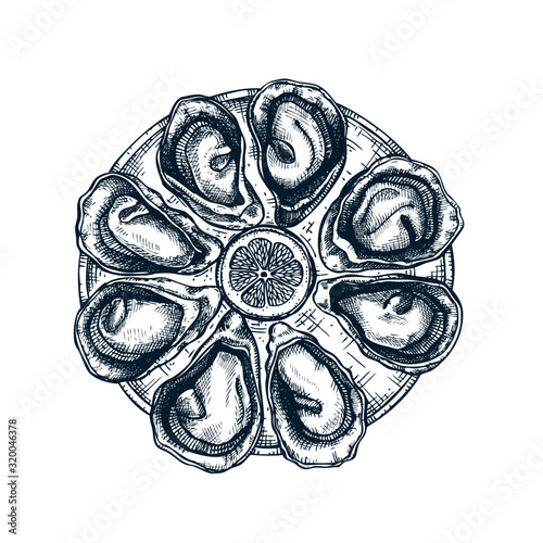Cooked oysters with lemon on plate illustration. Shellfish and seafood restaurant design element. Hand drawn oyster shells sketch isolated on white background. 