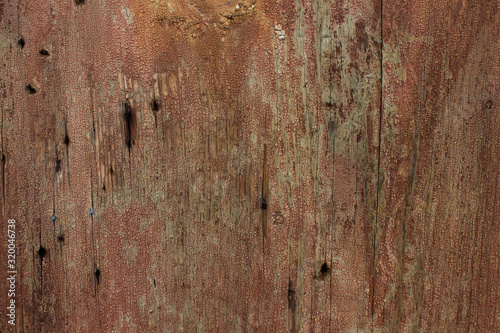 Background texture of an old wooden wall