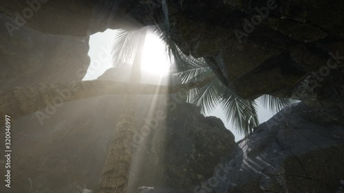 Big Palms in Stone Cave with Rays of Sunlight photo