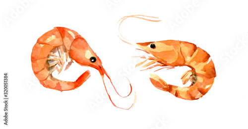 Seafood set  shrimp. Watercolor illustration isolated on white background.