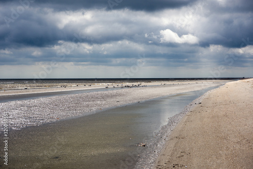 beach in North Jutland  Denmark