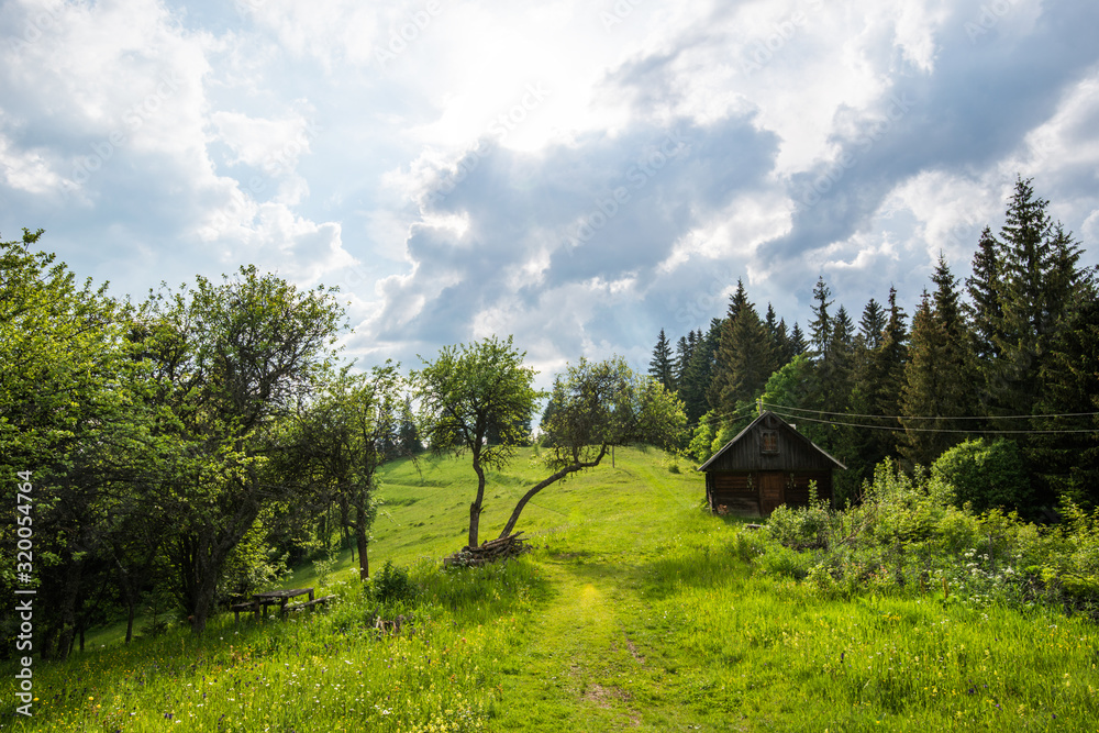 Obraz premium Bewitching beautiful summer landscape