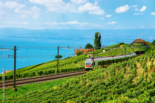 Running train at the railroad in Lavaux Vineyard Terraces hiking trail at Lake Geneva and Swiss mountains, Lavaux-Oron district, Switzerland photo