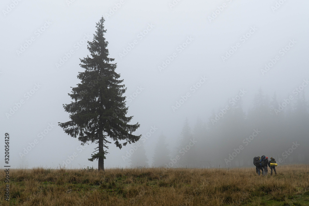 Hikers in foggy forest in the mountains Hikers in foggy forest in the mountains