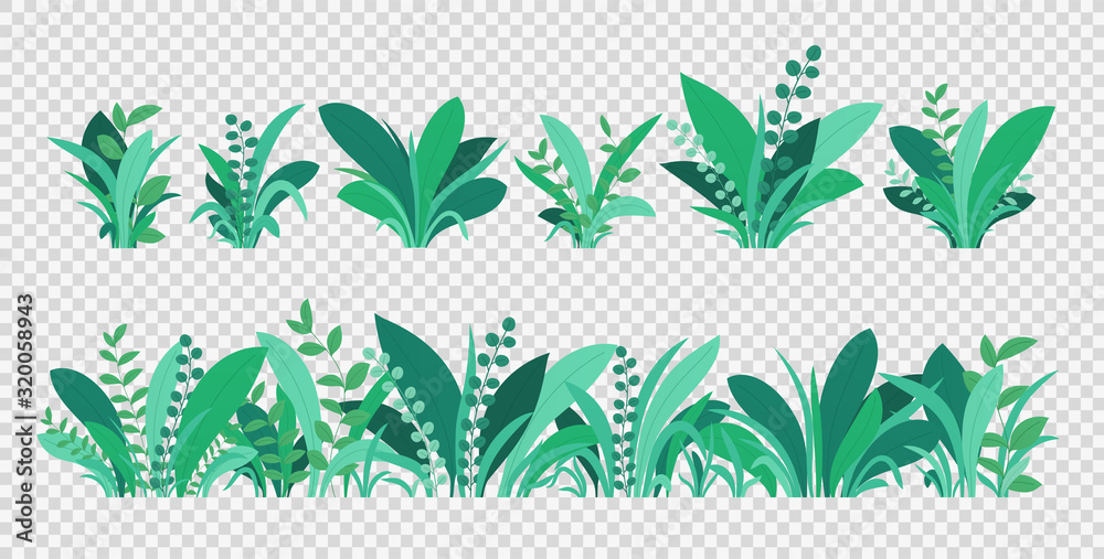 Green grass. Spring and summer various plants, grass and bushes. Natural elements of grass isolated on transparent background.