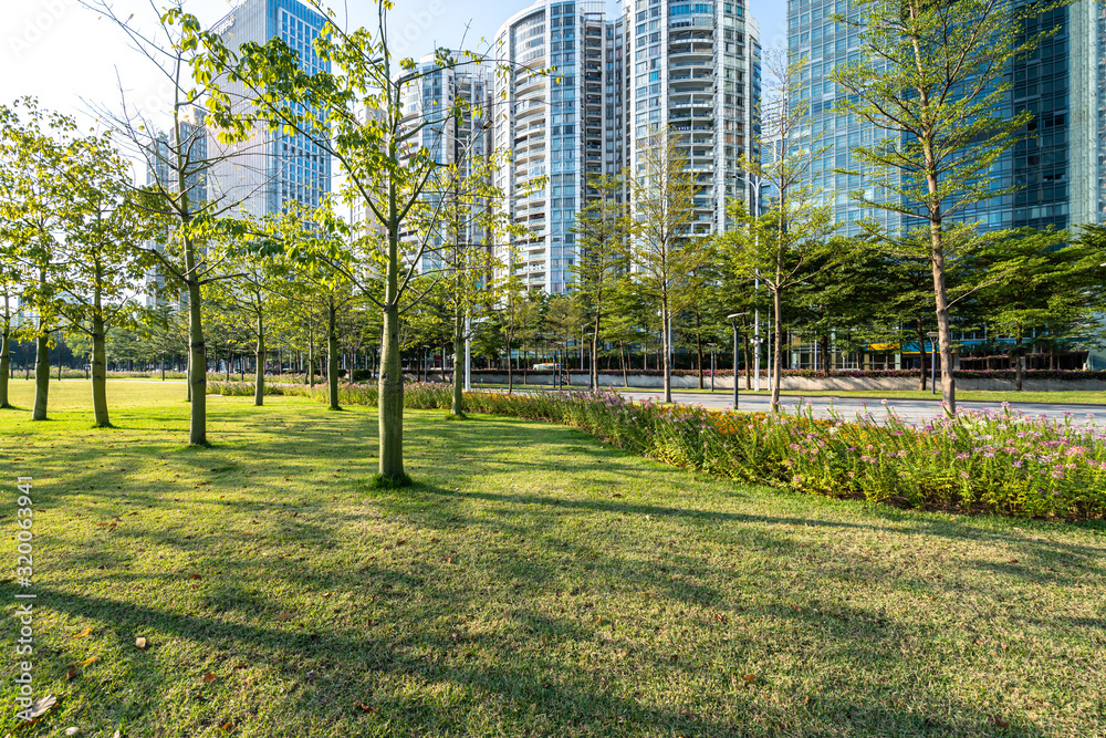 Obraz premium trees in the park