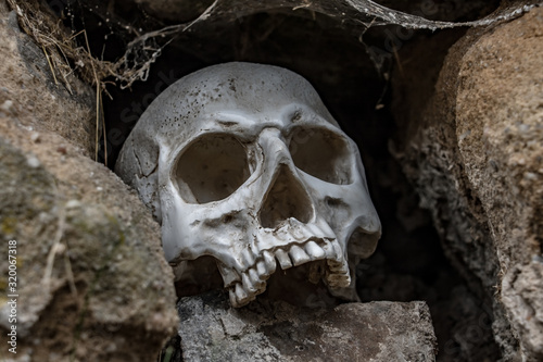 Human skull in hole in stone wall. Abandoned skull among stones with cobwebs.