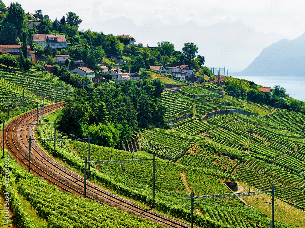 Railway line in Lavaux Vineyard Terraces hiking trail, Lake Geneva and Swiss mountains, Lavaux-Oron district in Switzerland