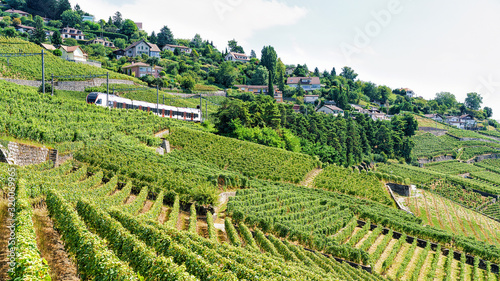 Running train near Lavaux Vineyard Terraces hiking trail, Lavaux-Oron district near Swiss