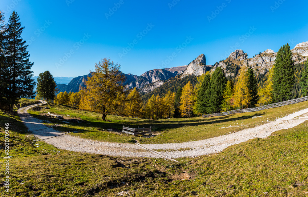 Autumn landscape in Catinaccio group, Dolomites (IT)