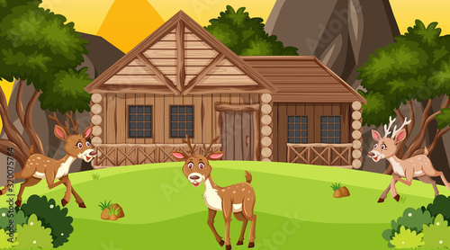 Scene with wooden cottage in the field
