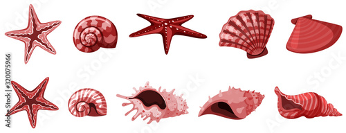Set of isolated seashells in red color