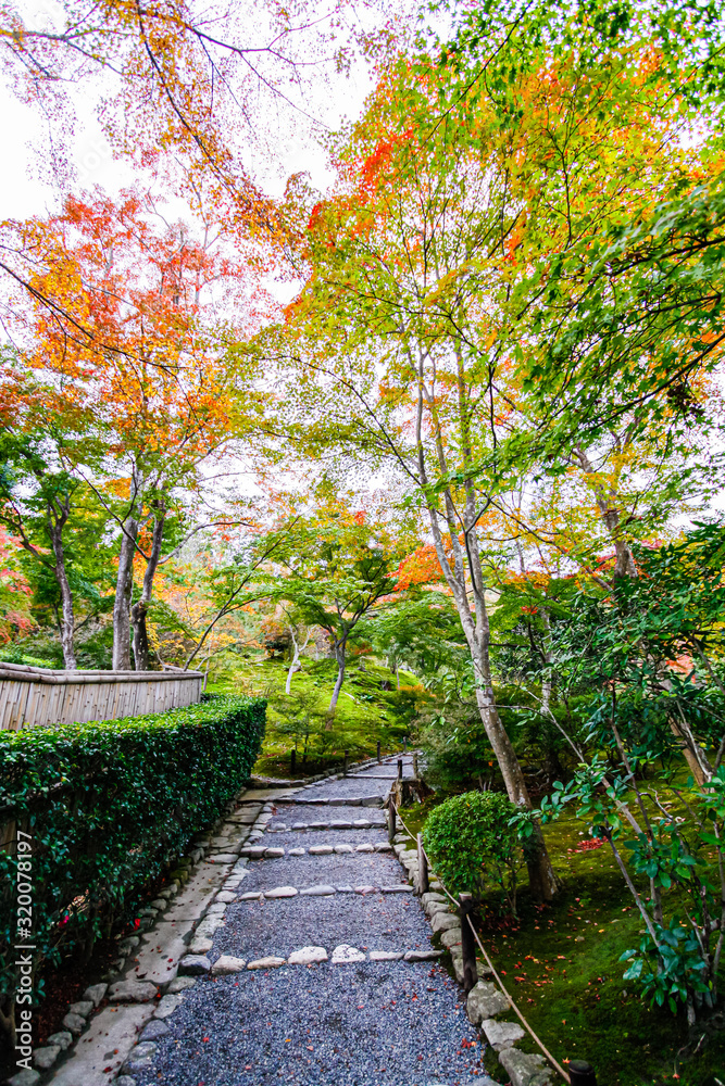 Colourful koyo (red leaf) in Tenryuji Temple, Kyoto Colourful koyo (red leaf) in Tenryuji Temple, Kyoto