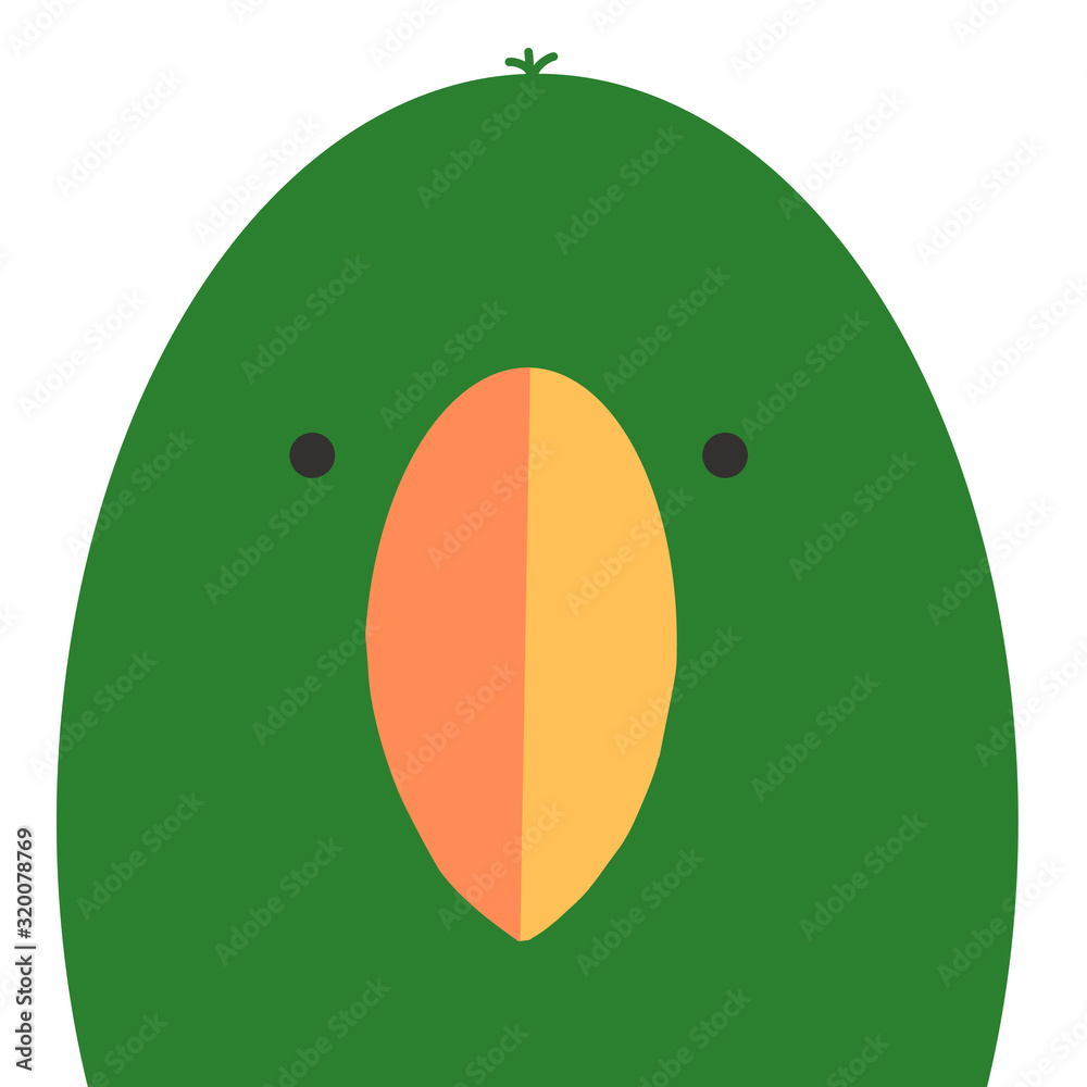 オオハナインコ bird オオハナインコ bird