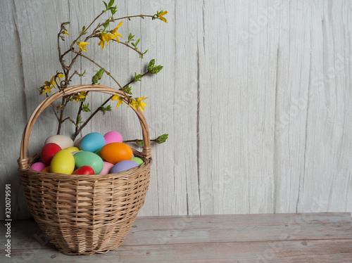 Easter composition. Basket with colorful eggs and spring branches of forsythia with leaves and yellow flowers on a wooden background. Free space.