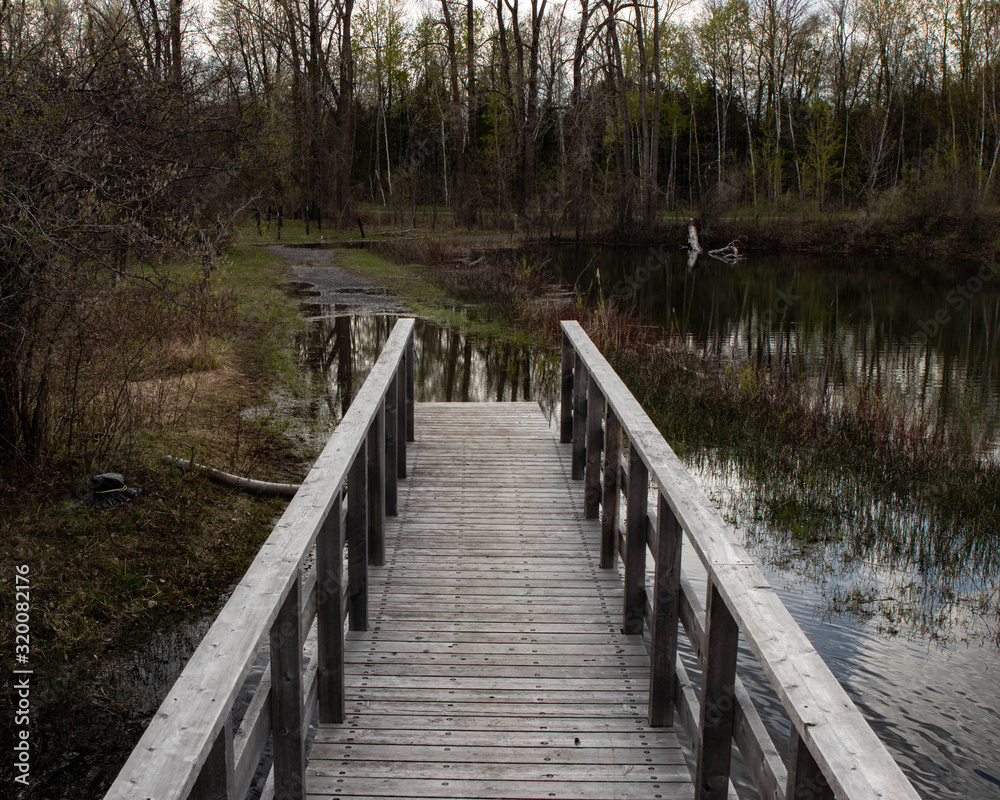 Fototapeta premium wooden bridge in forest