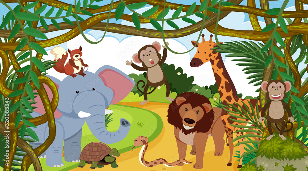 Fototapeta premium Background scene with many animals in forest